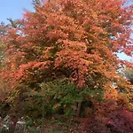 Les Insolites Watronville