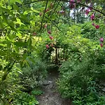 Les Insolites Watronville