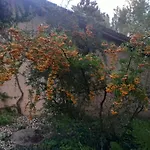 Penzion Les Insolites 3*