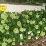 Penzion Les Insolites Watronville