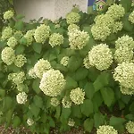 Les Insolites Maison d'hôtes