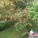 Maison d'hôtes Les Insolites 3*