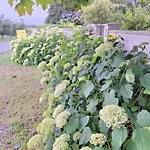 Penzion Les Insolites 3*