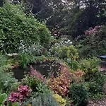 Les Insolites Maison d'hôtes