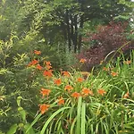 Les Insolites Penzion 3*