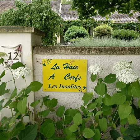 Les Insolites