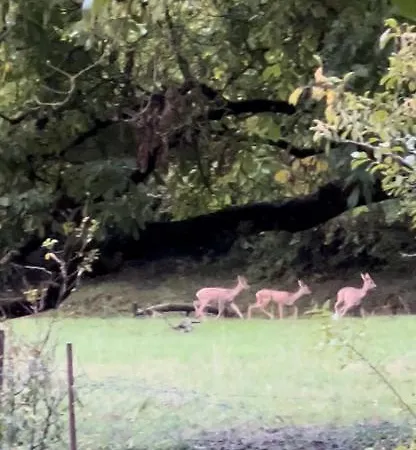 Les Insolites Maison d'hôtes Watronville
