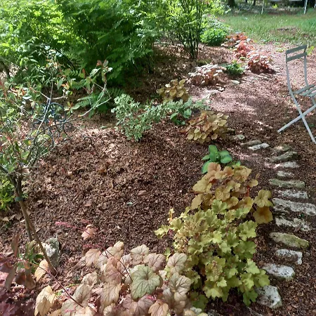 Les Insolites Maison d'hôtes