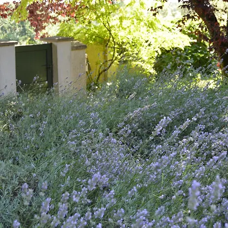 Les Insolites Guest house