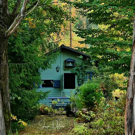 Les Insolites Guest house