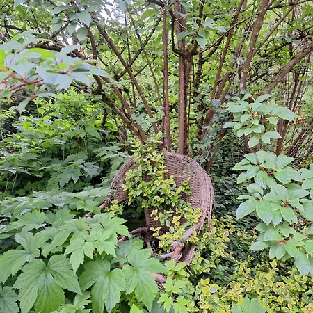 Les Insolites Watronville