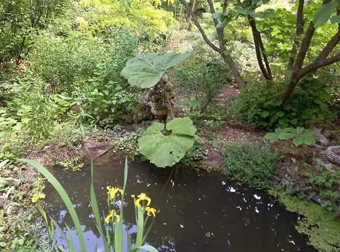 Pensjonat Les Insolites 3*