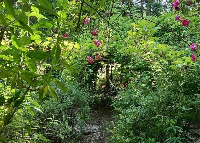 Les Insolites Watronville