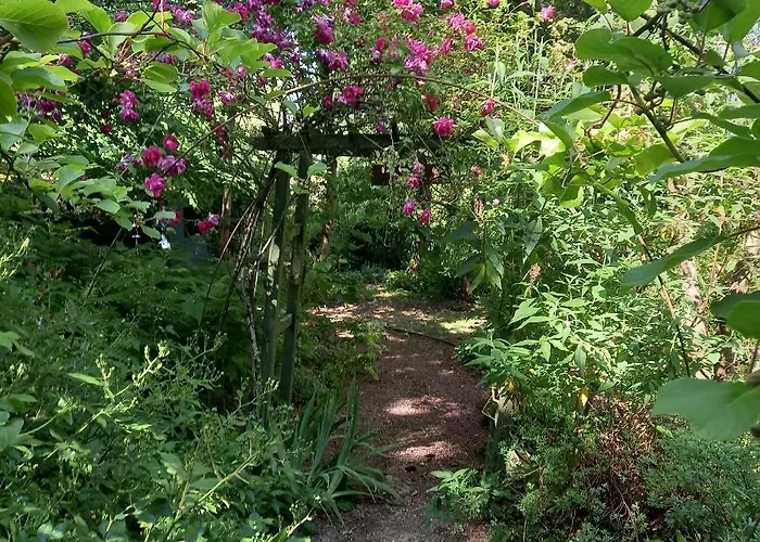 Pensjonat Les Insolites 3*