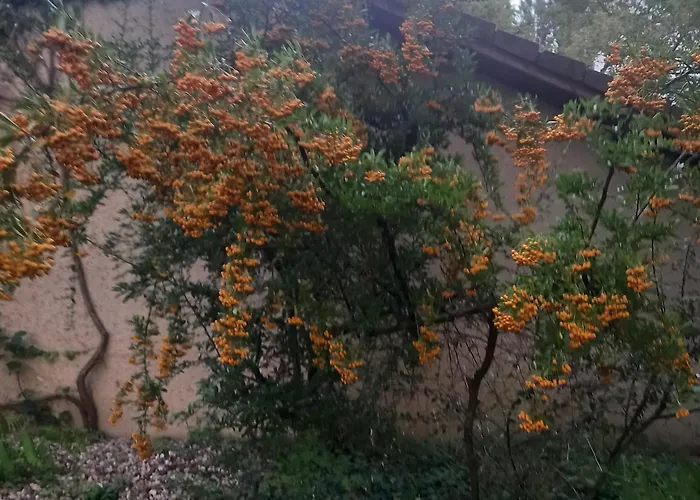 Pensjonat Les Insolites 3*