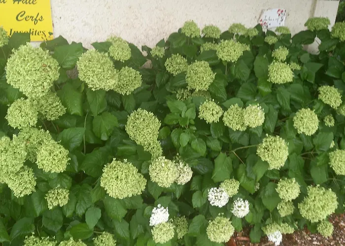 Guest house Les Insolites Watronville