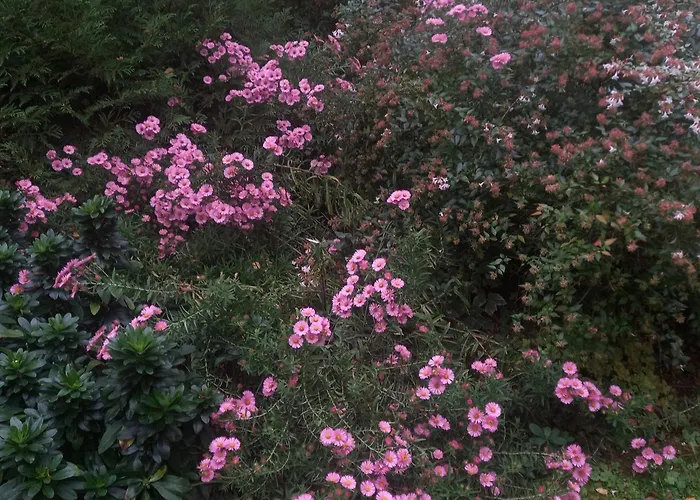 Les Insolites Watronville