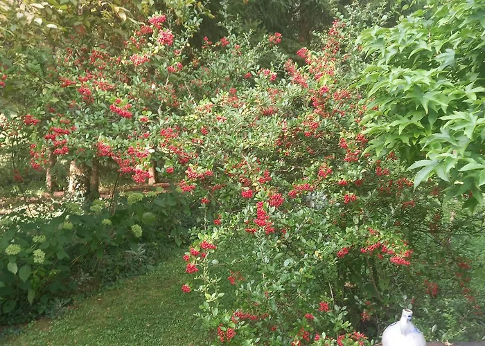 Pensjonat Les Insolites 3*