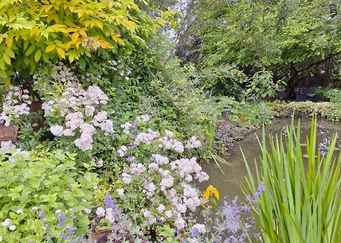 Les Insolites 3* Watronville