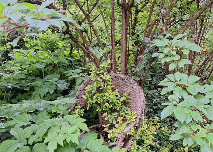 Les Insolites Watronville