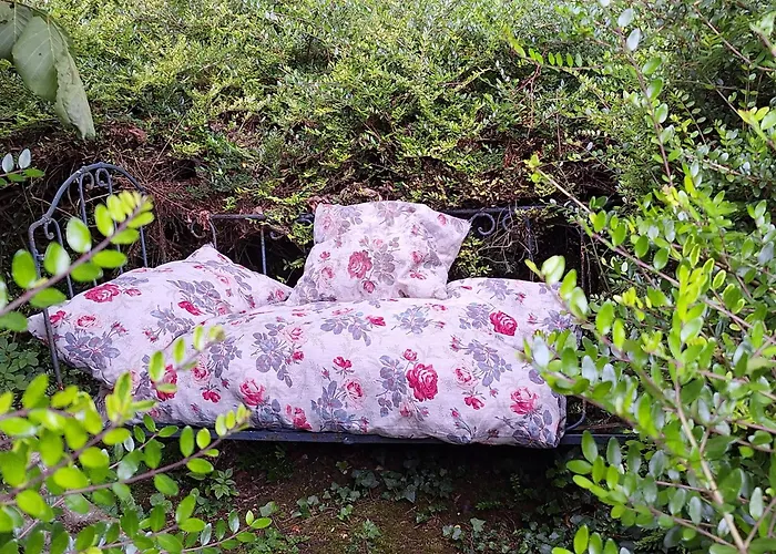 Pensjonat Les Insolites