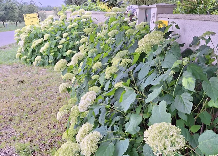 Pensjonat Les Insolites 3*