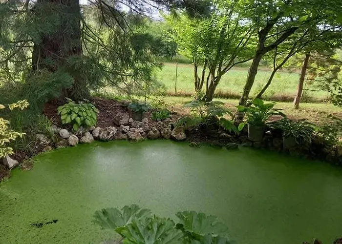 Pensjonat Les Insolites