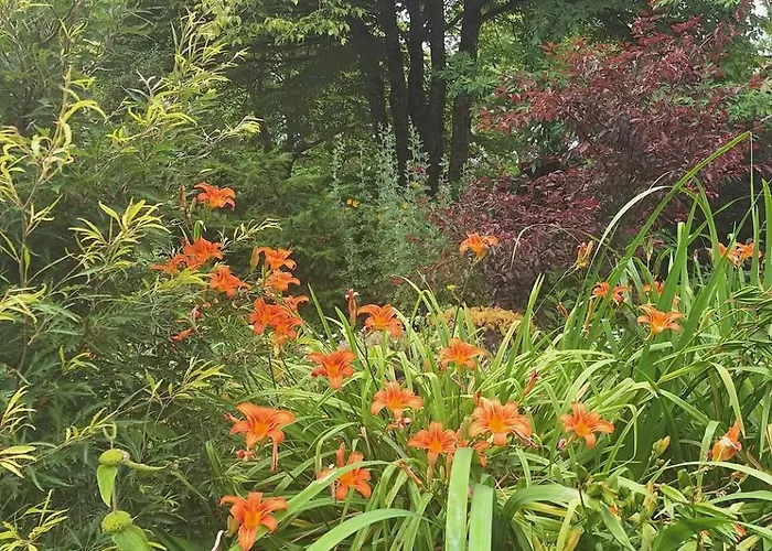 Les Insolites Pensjonat 3*